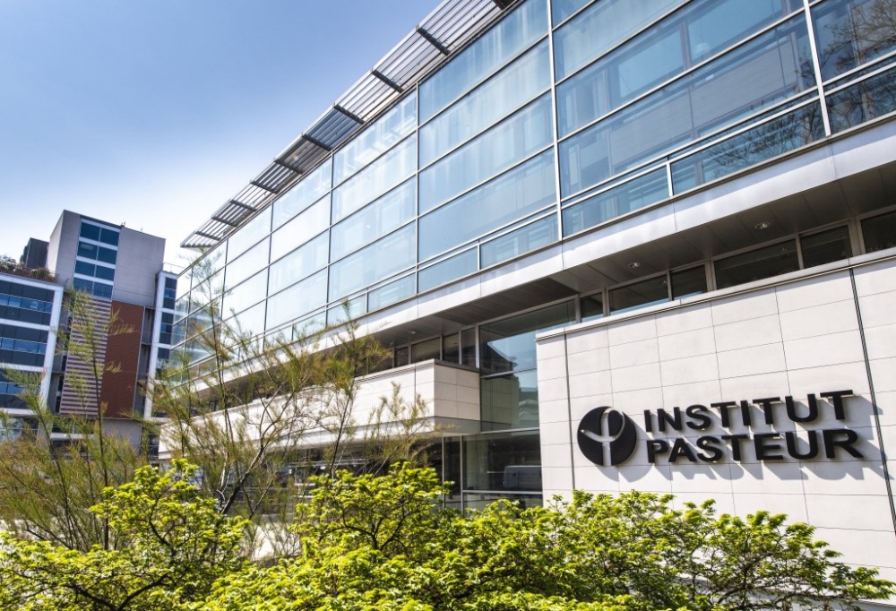 HKU‐Pasteur Research Pole Fellowship Programme 2025
